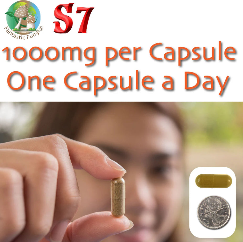 Organic Super Seven Mushroom blend extract Capsules
