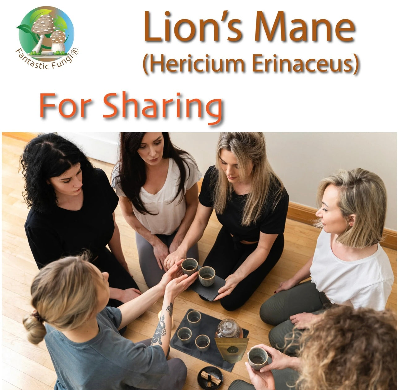 Lion’s Mane (hericium erinaceus) Mushroom Extract Powder - Highly Concentrated
