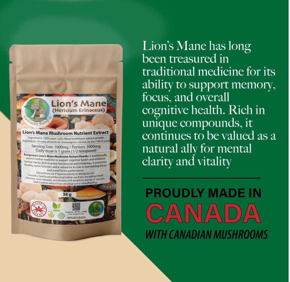 Organic Lion’s Mane (Hericium Erinaceus) Mushroom extract powder