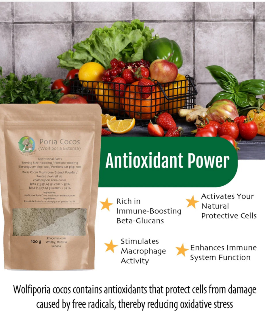 Wolfiporia Cocos (Poria Cocos) High Potency - 35% Betaglucans