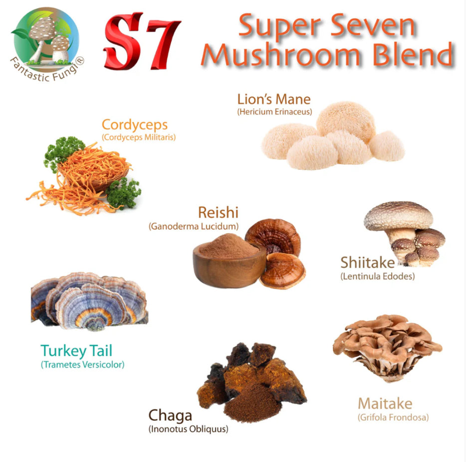 Organic Super 7 Mushroom Blend Extract Powder