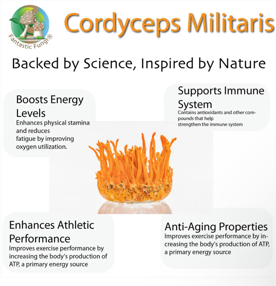 Organic Cordyceps Militaris Mushroom extract powder