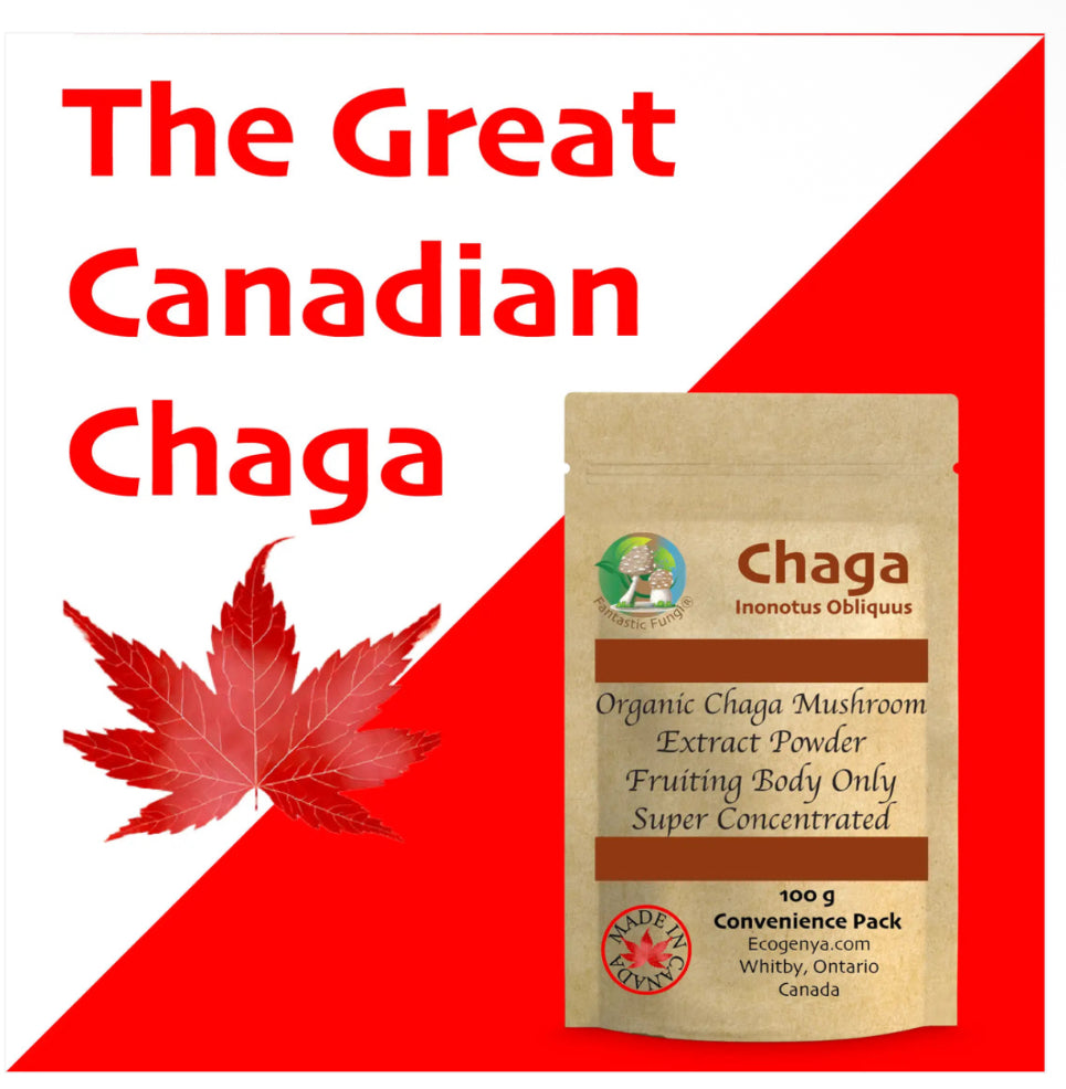 Organic Chaga (Inonotus Obliquus) Mushroom Extract Powder