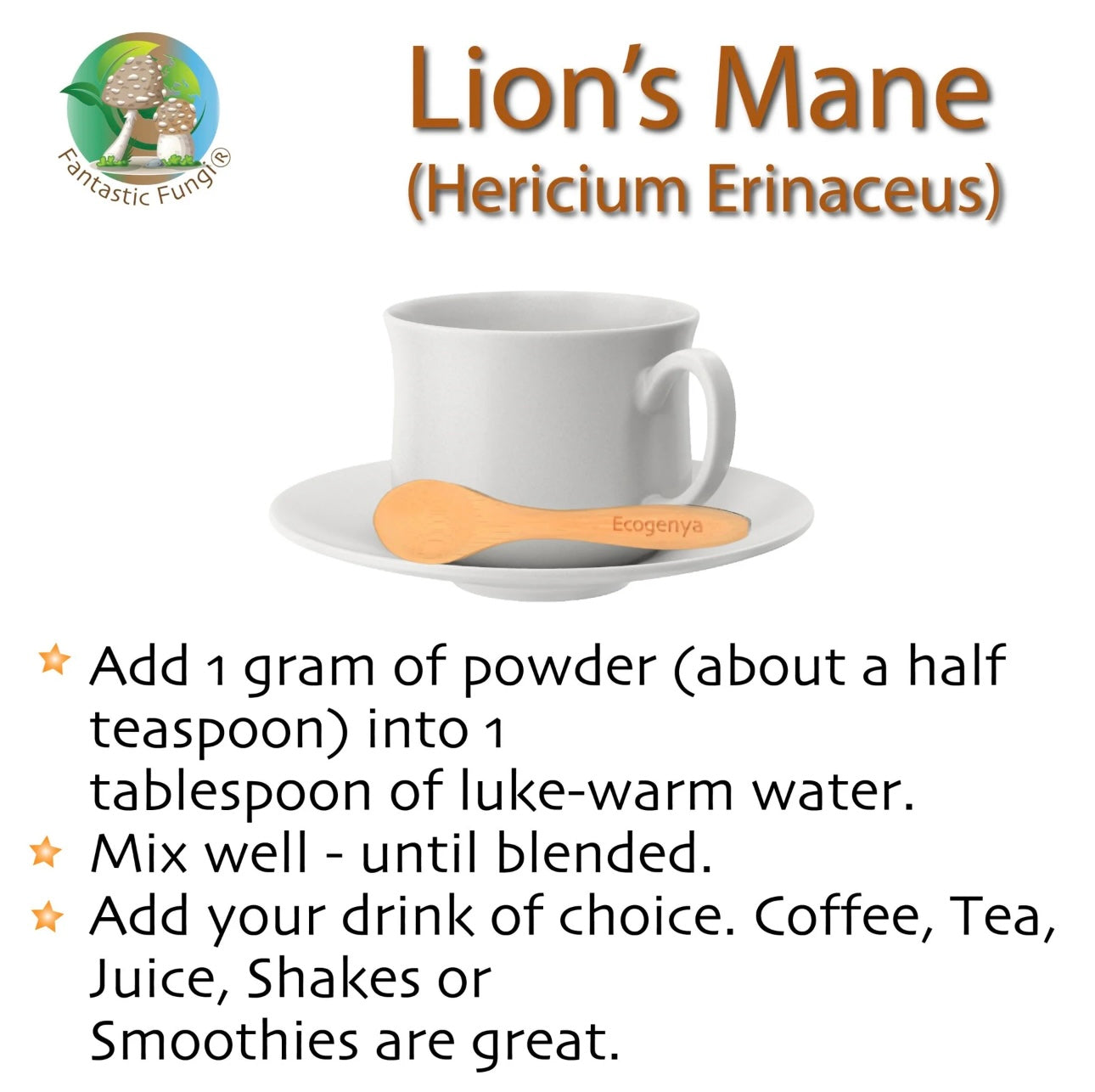 Lion’s Mane (hericium erinaceus) Mushroom Extract Powder - Highly Concentrated