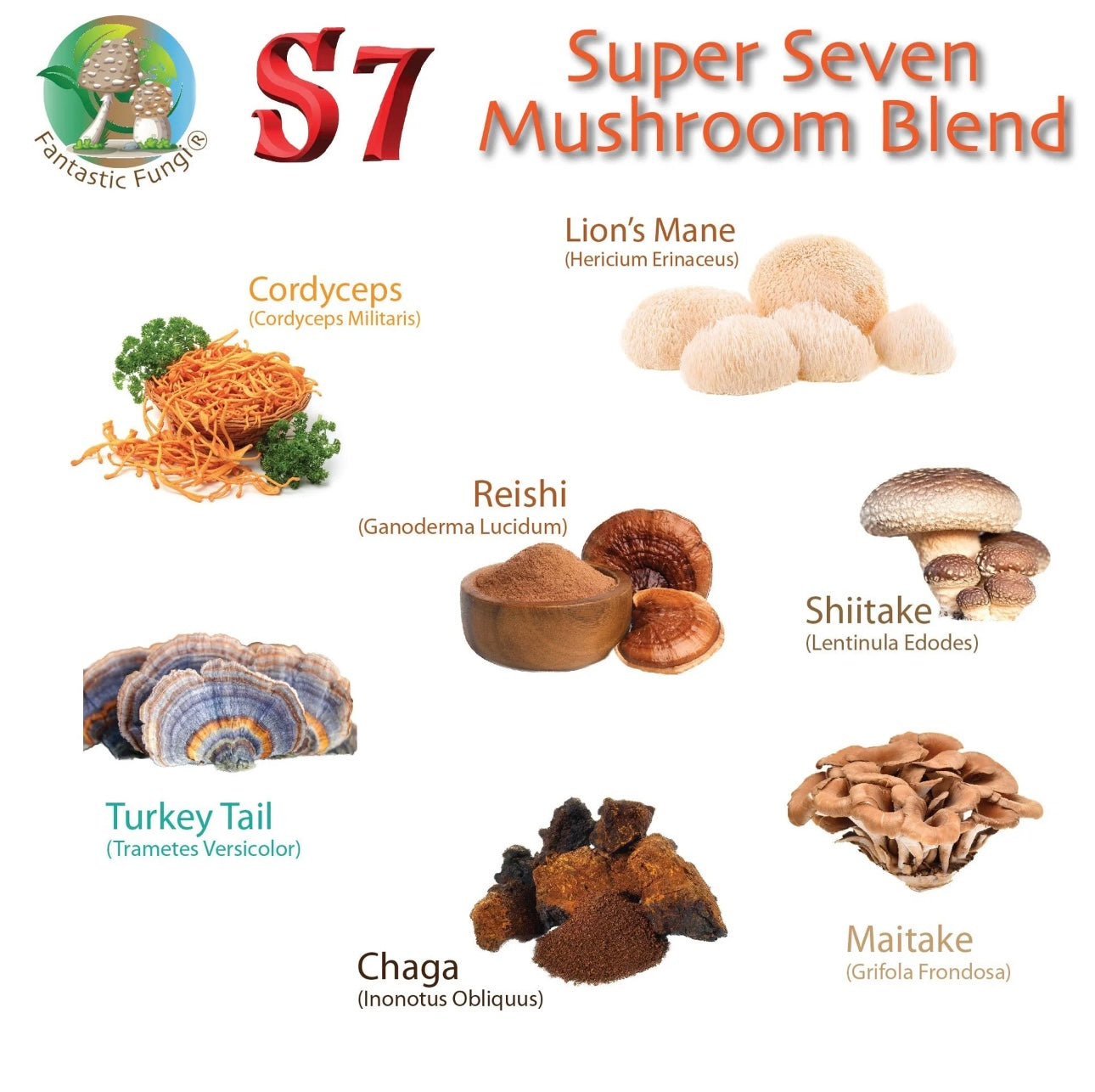 Mushroom Coffee - Premium Instant Arabica Organic Coffee - 7 Mushroom Extract Blend