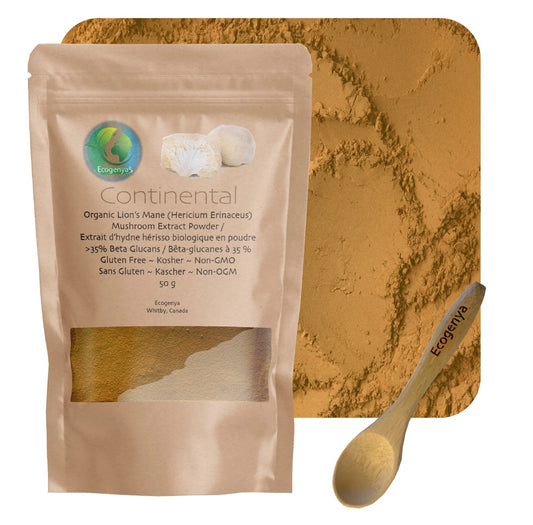 Lion’s Mane (hericium erinaceus) Mushroom Extract Powder - Highly Concentrated