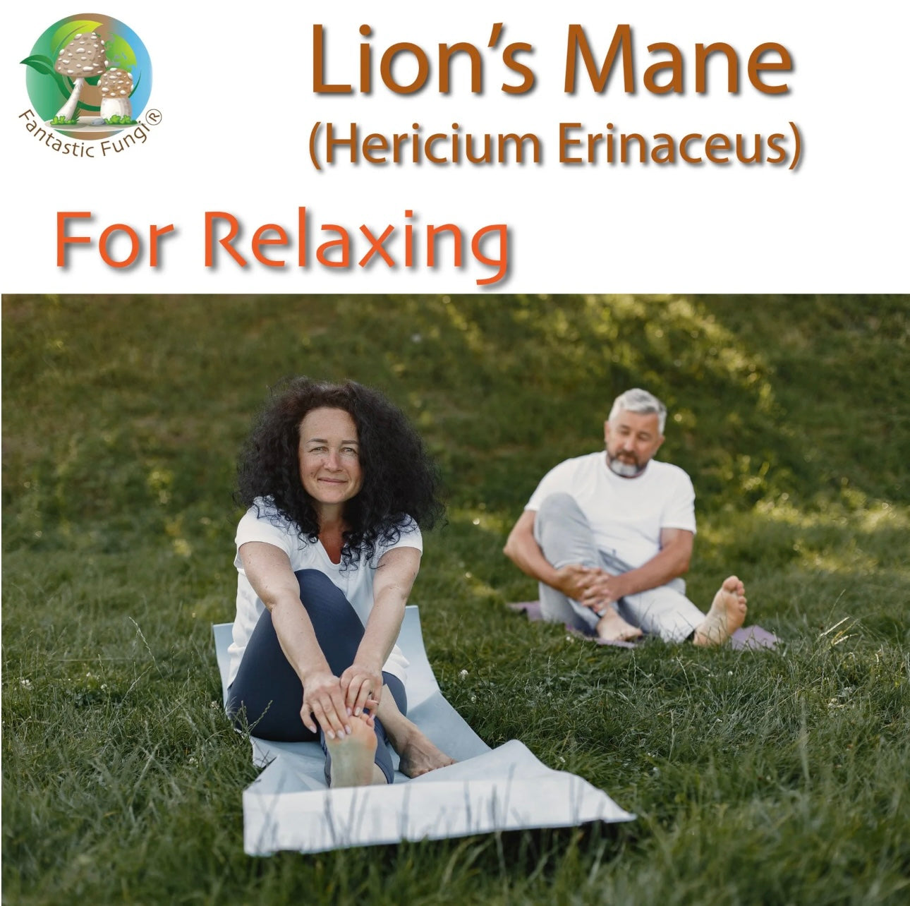 Lion’s Mane (hericium erinaceus) Mushroom Extract Powder - Highly Concentrated