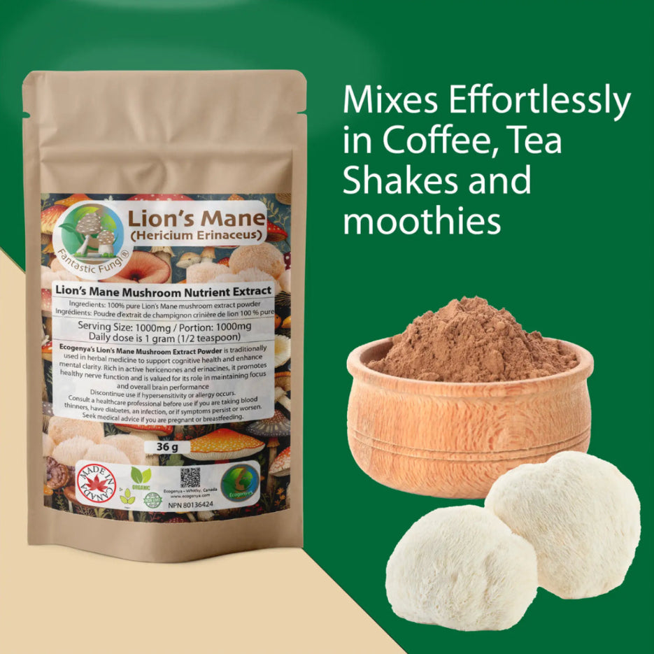 Organic Lion’s Mane (Hericium Erinaceus) Mushroom extract powder