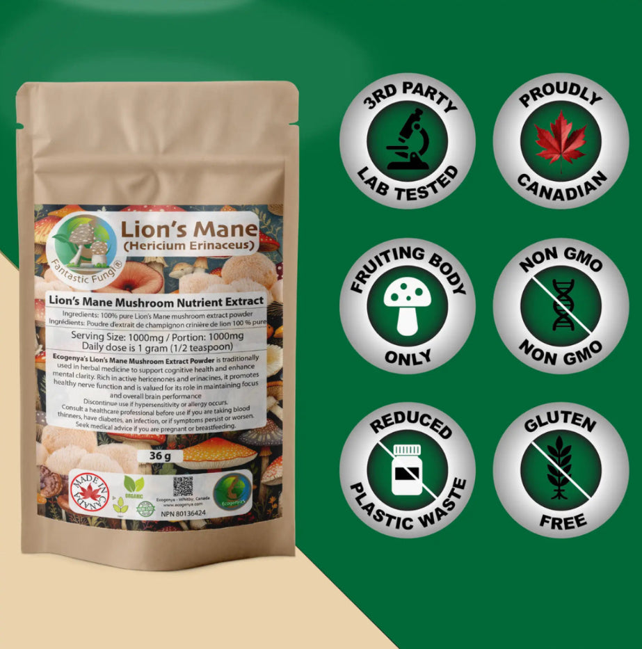 Organic Lion’s Mane (Hericium Erinaceus) Mushroom extract powder
