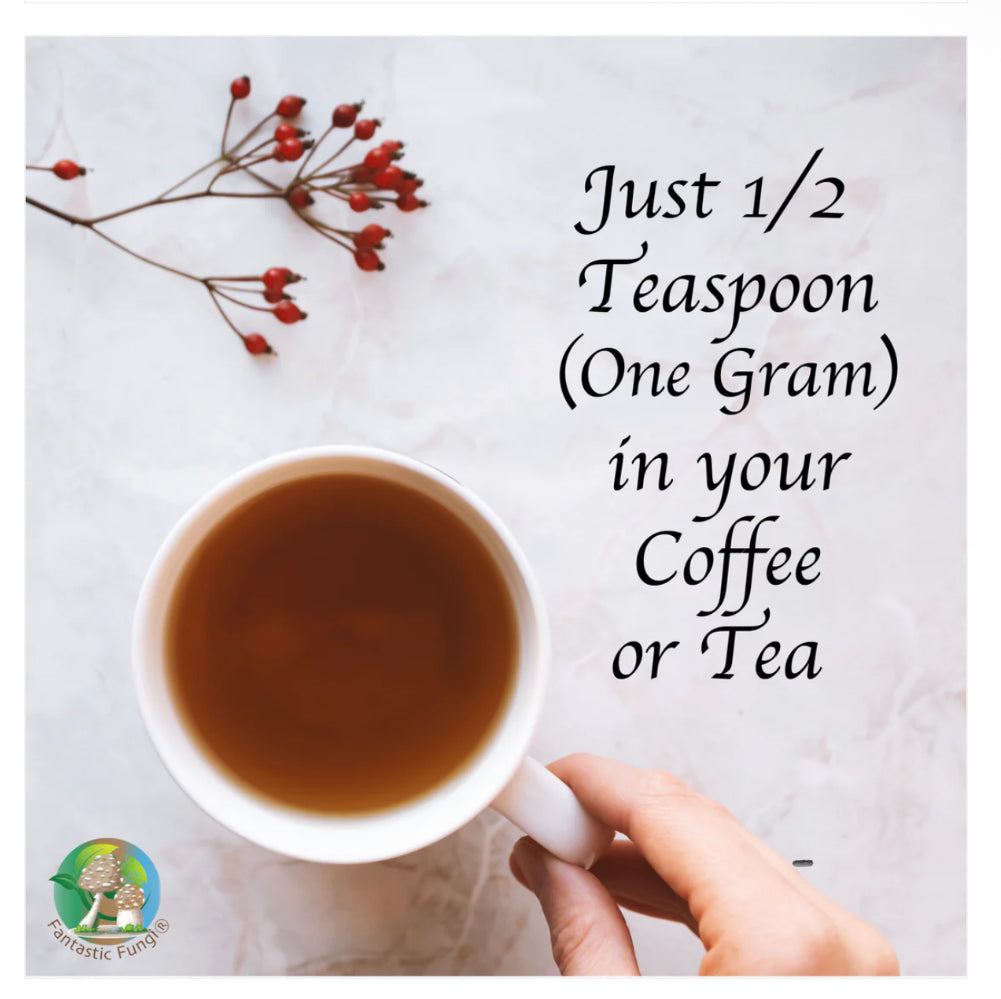 Organic Chaga (Inonotus Obliquus) Mushroom Extract Powder