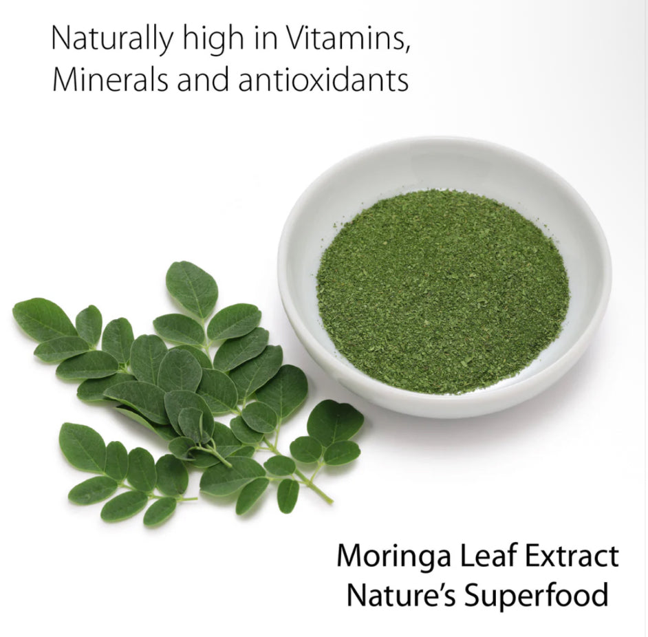 Organic Moringa Leaf Extract Capsules – 600mg