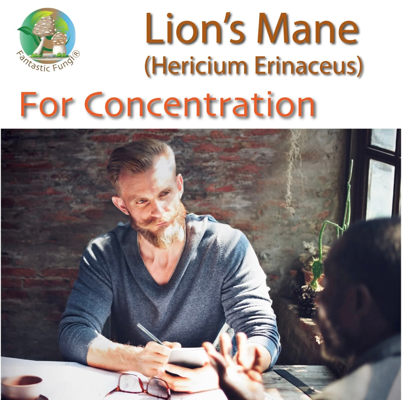 Lion’s Mane (hericium erinaceus) Mushroom Extract Powder - Highly Concentrated