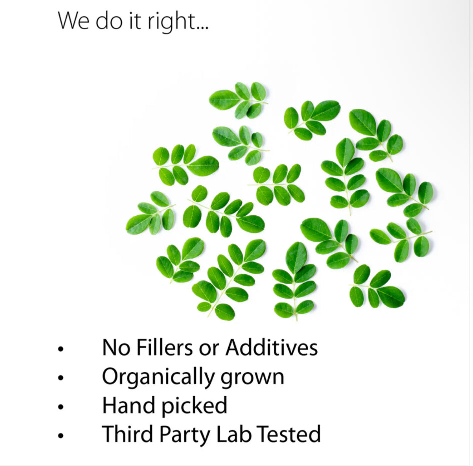 Organic Moringa Leaf Extract Capsules – 600mg