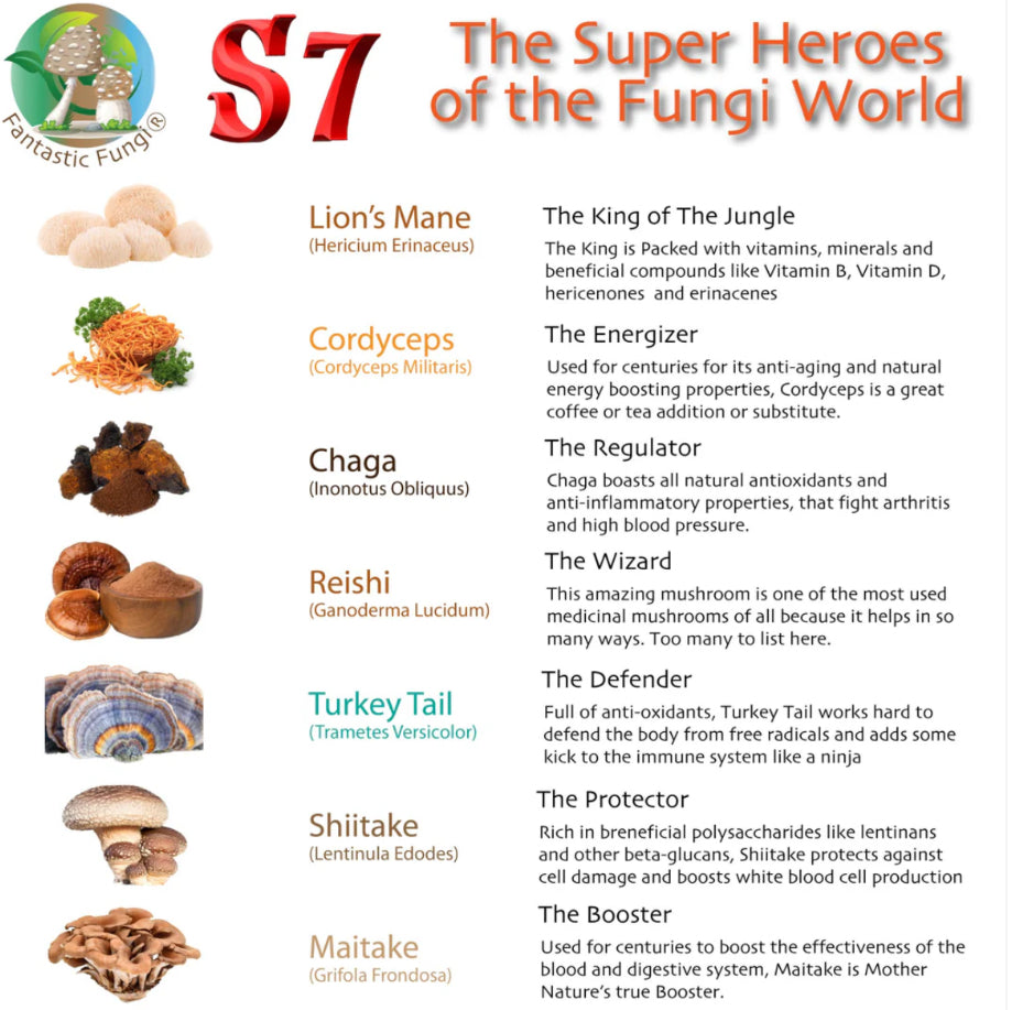 Organic Super 7 Mushroom Blend Extract Powder