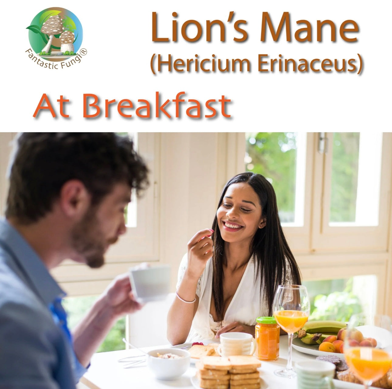 Lion’s Mane (hericium erinaceus) Mushroom Extract Powder - Highly Concentrated
