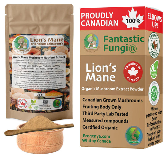 Organic Lion’s Mane (Hericium Erinaceus) Mushroom extract powder