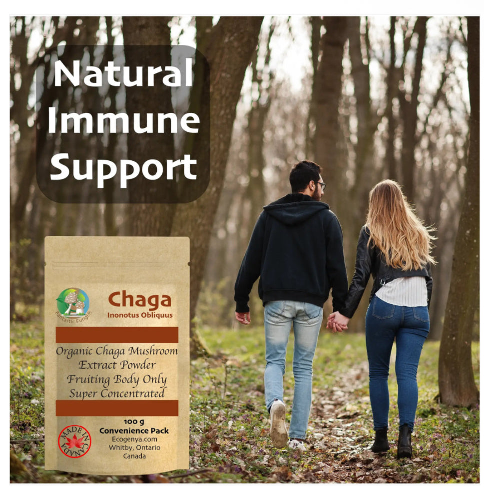 Organic Chaga (Inonotus Obliquus) Mushroom Extract Powder
