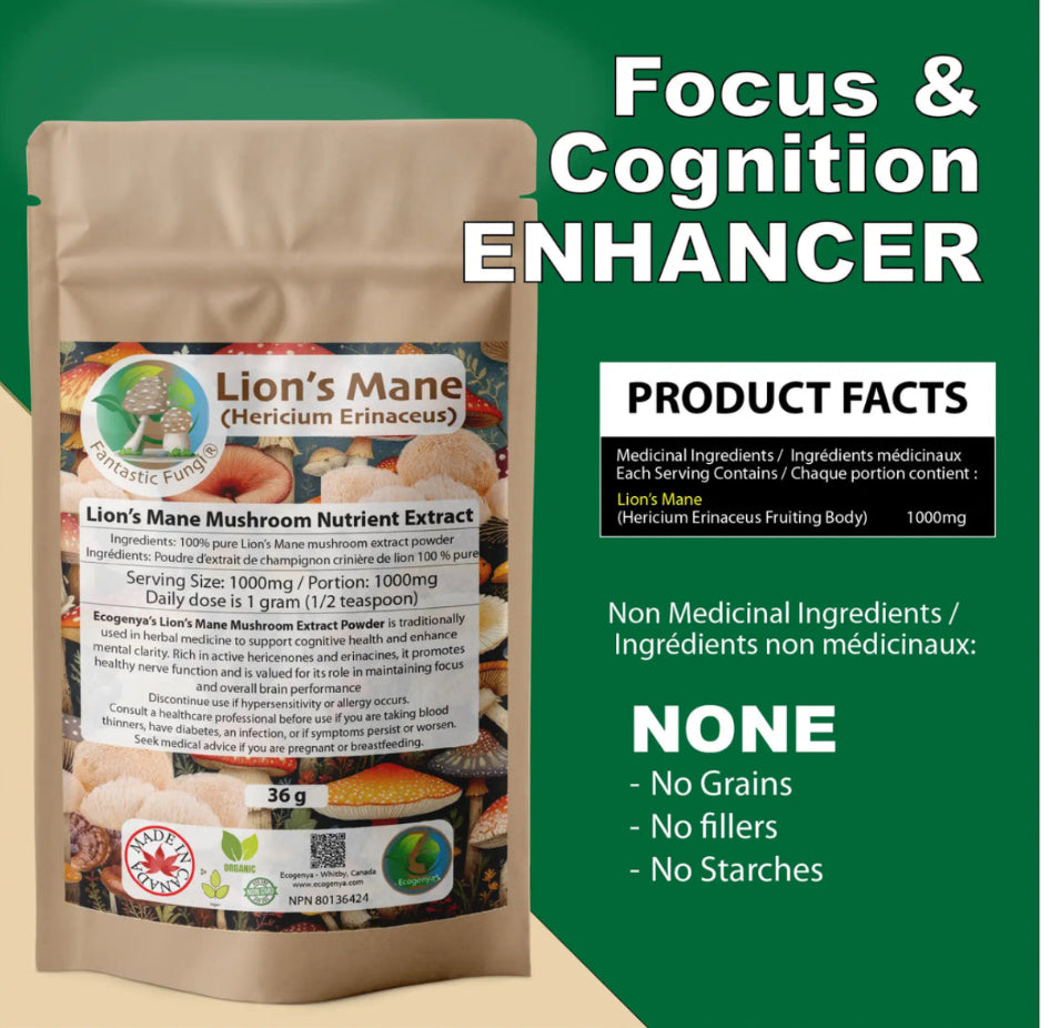 Organic Lion’s Mane (Hericium Erinaceus) Mushroom extract powder