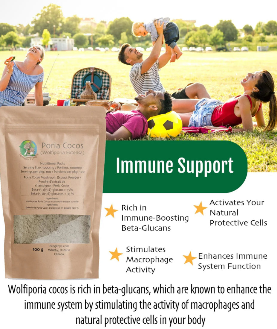 Wolfiporia Cocos (Poria Cocos) High Potency - 35% Betaglucans