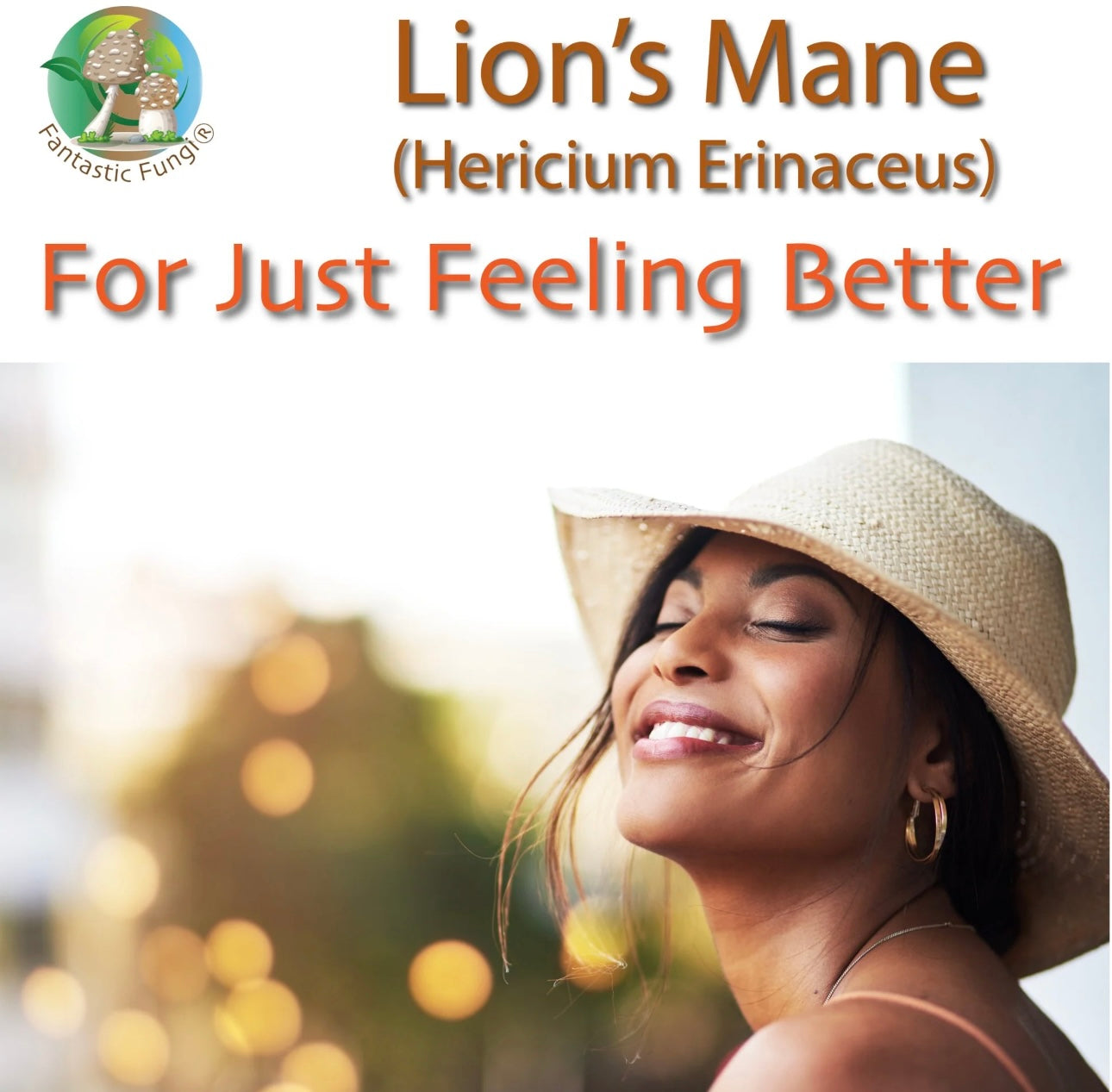 Lion’s Mane (hericium erinaceus) Mushroom Extract Powder - Highly Concentrated