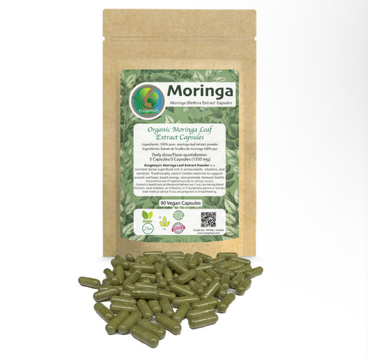 Organic Moringa Leaf Extract Capsules – 600mg