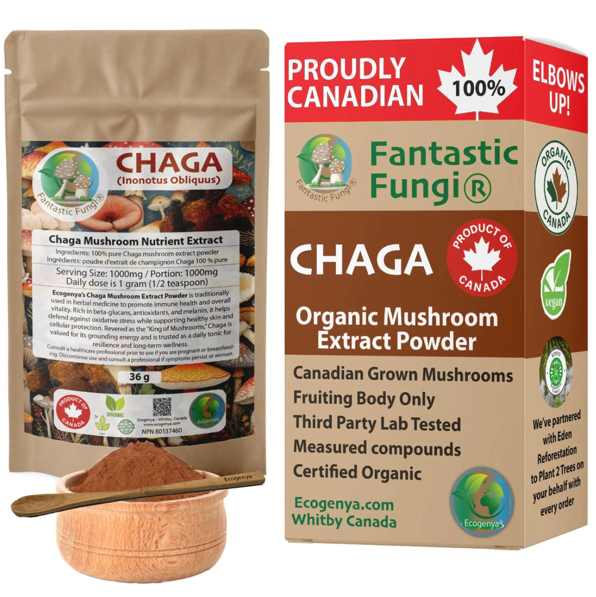 Organic Chaga (Inonotus Obliquus) Mushroom Extract Powder
