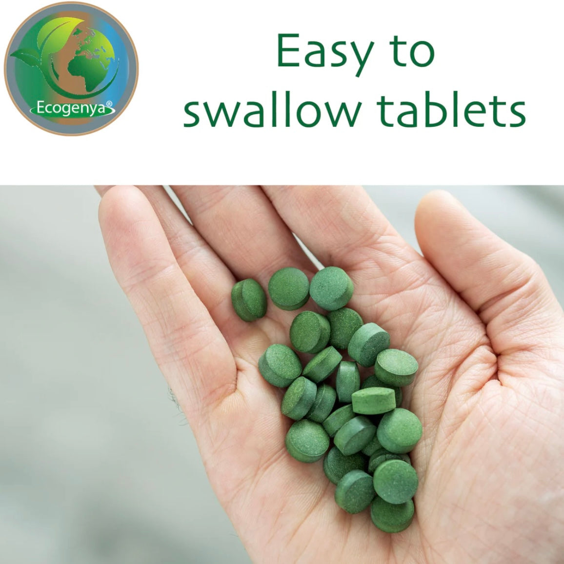 Organic Broken Cell Chlorella Tablets - 500mg - High Potency