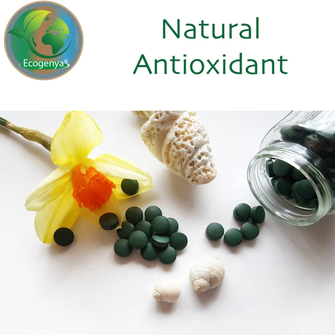 Organic Broken Cell Chlorella Tablets - 500mg - High Potency