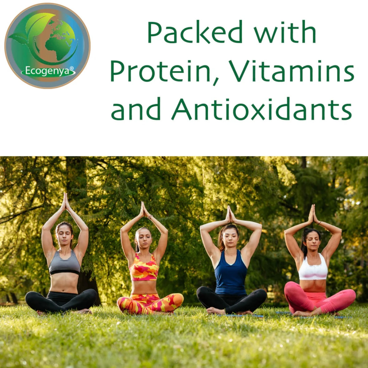 Organic Broken Cell Chlorella Tablets - 500mg - High Potency